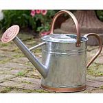 This sturdy watering can is a garden essential for any home owner. It is made from galvanized steel that is heavy duty and can hold up to 1.9 gallons of water. Comes with a screw-on rose that gently showers your delicate plants and flowers.
