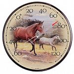12 inch thermometer for outdoor use. By Joe Hautman - high end design and Chaney Instrument quality. Features a pair of highly detailed, beautiful horses running across a meadow.