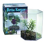 Use Lee's BettaHex to house and display the Betta Splendens, also known as the Siamese Fighting Fish. Nest multiple units to create eye-catching, in-store displays.