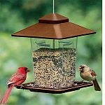 Contemporary, square style bird feeder featuring large roof overhang that holds approximately 5 lbs of seed (extra large seed capacity) Size: 9 square x 11 1/2 inches high. You can mount this birdfeeder with a hanging cord. The color for this item can va