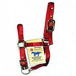 3/4 inch miniature horse halter. Adjustable. Only the highest quality durable nylon webbing, thread and hardware is used to produce the hamilton product line. 3/4 adj miniature halter.