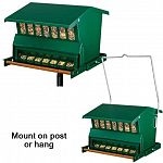 Counter balanced squirrel-proof feed access closer is easily adjusted to allow feeding of preferred birds. Weight of the squirrel or unwanted birds automatically closes access to feed tray.