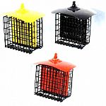 These bright colored metal suet cages are a fun way to feed the birds. Ready to hang. Easy to fill and clean. Holds 2 suet cakes.