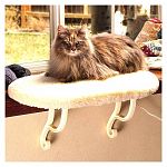 Give your cat a great outdoor view without scratching your furniture with this comfortable window seat by K and H. Choose heated or unheated. The heated seat uses a small amount of electricity to keep you cat warm and comfortable.