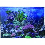 3 dimensional coral, rocks, plants, flowers and weeds give aquariums a true under water feel Illuminates under lights Durable, coated plastic makes backround easy to clean