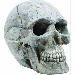 Handcrafted resin, realistic looking human skull Provides interest, hides and shelter for fish Safe in fresh and saltwater Designed for aquariums, terrariums and most animal habitats Silver tones will illuminate under light