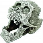 Cracked human skull, this 2 inch mini sized version eerily looks upon its aquatic neighbors. Safe for freshwater & saltwater aquariums. Great for betta tanks or small fish bowls