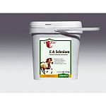 E and Selenium Equine Supplement VitaFlex helps to reduce free radical damage to your horse s body. Vitamin E and Selenium work together and protect one another to maintain efficacy. Mixed with a high quality yeast culture. Comes in a 4 or 20 lb. size.