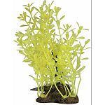 Glow elements plants were designed to make your aquarium look stunning and keep your fish happy and healthy Features neon colors that are vibrant during the day under white lights and glow at night under blue lights Creates a luminescent underwater world
