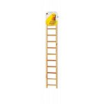 Birdie Basics Natural Wood Step Ladders are designed to be functional and attractive to meet the everyday needs of your bird. A great way to excercise your bird and let your birdie friend stretch his or her legs. An easy and practical addition.