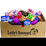 Huge assortment of quality, value-priced dog toys in a free display box Save money and keep your dog happy Recession-busting value and variety