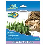 Growable, edible cat treats. Premium cat grass mixture kit. Grass grows quickly. Fiber rich dietary supplement.