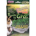 Easy self-grow kit Treat for pet rabbits, guinea pigs, chinchillas and other small animals Fresh greens are full of natural nutrients and fiber