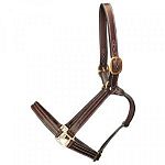 Premier Leather Horse Halter made of supple, pre-conditioned leather. It is crafted in a 1 inch triple stitched leather on the cheeks nose and chin. Has a double buckle crown, has a solid brass hardware and a rolled throat.