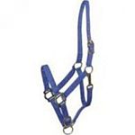 This nylon breakaway halter with leather crown is great for using as a turnout halter when trailering or even when they are in their stalls. The leather crown will break helping to prevent injury to your horse.