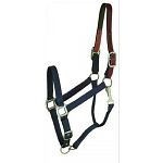 This nylon breakaway halter with leather crown is great for using as a turnout halter or when trailering. The leather crown will break, helping to prevent injury to your horse.