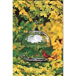 Versatile clear view platform bird feeder featuring a 15 inch diameter adjustable dome- which protects seed from weather and keeps out large birds. UV stabilized polycarbonate - won't yellow with age, dependably durable. 13 inch diameter