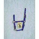 Adjustable Pony Halter with Chin Strap. Chin strap is adjustable and it has a throat snap. 3/4 inch thick (nylon)