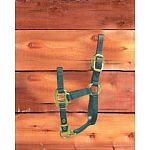 For foals. 3/4 inch deluxe nylon halter with leather headpoll breakaway. A foal is an equine, particularly a horse, that is one year old or younger. Designed to grow with your foal. Hamilton quality.