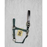 Adjustable chin halter with leather headpole. This halter comes in four different sizes and four different colors. Hamilton quality and satisfaction ensured.  Yearling, Small Horse, Average Horse and Large Horse.