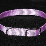 Hamilton's new Sherbet series collars. New lavendar color, same Hamilton quality. Deluxe buckle collar in multiple sizes and thicknesses. 12 inch is 3/8 inch thick, 14-18 inch collars are 5/8 inch thick and 20-26 inch dog collars are 1 inch t