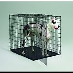 Home training crate for dogs. Recommended for xx-large dogs borzoi, great dane, great pyrenees, irish wolfhound. Pan no included.