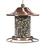 Perch design allows birds to feed from multiple angles. Patented sure-lock cap system helps keep squirrels out. Eye-catching copper finish. Innovative design.