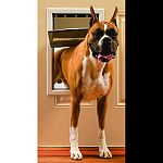 Solid aluminum construction. Locking panel. Transparent single flap for weather-tight seal. Easy do-it-yourself installation. Fits doors from 3/8 to 2 thick. Dimensions - 14 3/4 x 21 1/2 . Flap opening dimensions - 10 1/8 x 15 3/4 . For pets up to 100