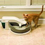 The only automatic cat litter system that cleans & removes waste continuously & automatically without disturbing your cat. Quiet and simple to use. Removes waste from the cat litter box to a built-in waste container via a quiet, slow-moving conveyor syste