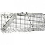 Our #1 selling Raccoon/Cat Trap was just made easier to set! Perfect for Raccoons, Stray Cats, Woodchucks/Groundhogs & Armadillos. One spring loaded door, solid top and an easy setting method! 32 x 10 x 12 inches