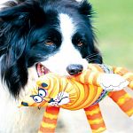 Durable, high quality dog toy Squeaker toy Designed for maximum floppability