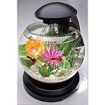 Crystal clear glass aquarium with unique waterfall feature. Tetra pump driven filter with cartridge. Bright white led lights. Stylish black base with light arm. Single power cord operates both the light and the filter.