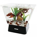 One gallon tank with base. Base lighting - 4 white led lights with on/off switch. Convenient feeding hole in lid. Usb and/or battery operated. Takes 4 aa batteries (not included) or use a micro usb cable (not included).
