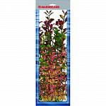 Pack contains 4 silk plants: 6 in and 9 in rotala, 12 in moneywort, and 18 in ludwigia Provides cover for the fish and reduces fish stress Easy to install and clean