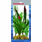 Pack contains 4 silk plants: dragon flame, octopus plant, and 2 sizes of stragrass Provides cover for the fish and reduces fish stress Easy to install and clean