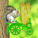 If you can't beat 'em - join 'em. Squirrels attacking your bird feeders? Get them their very own feeder. They will love the corn on the cob that can be inserted in this feeder.