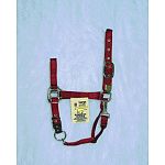Nylon Adjustable Horse Halter with Chin Strap - 1 inch by Hamilton. Adjustable chin snap at throat. Only the highest quality durable nylon webbing, thread and hardware is used to produce the Hamilton product line. Available in a wide variety of colors.
